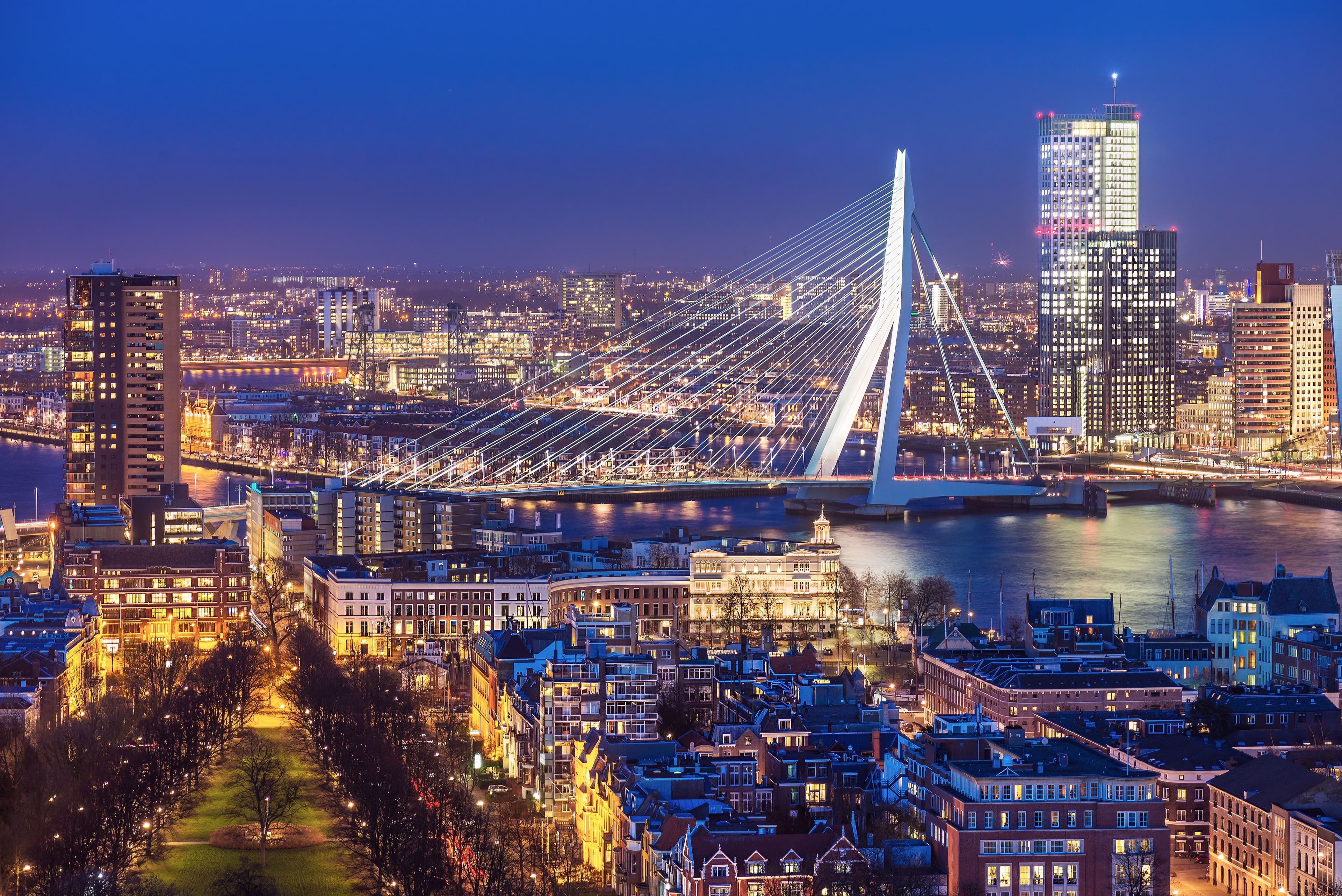 Website laten maken Rotterdam met strak design